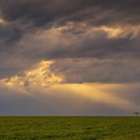 Christian believer reflecting on God’s promises from Scripture