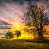 God’s Treasured Possession