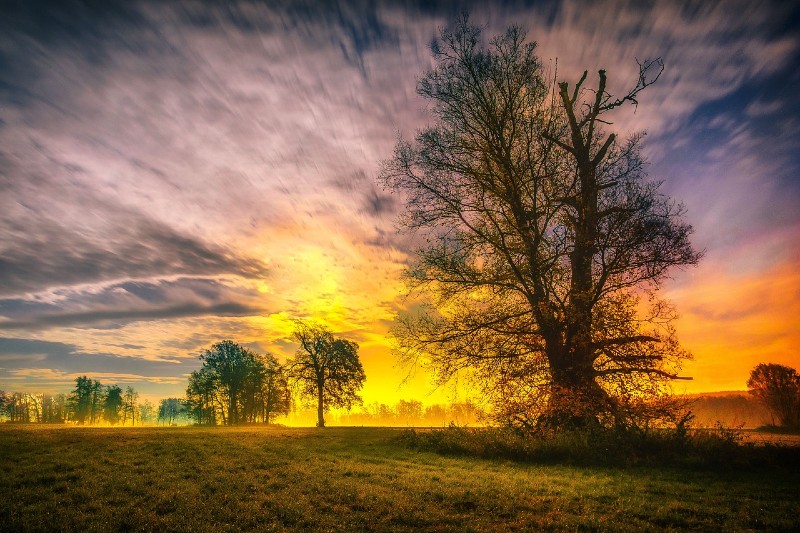 God’s Treasured Possession