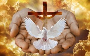 Hands and Dove