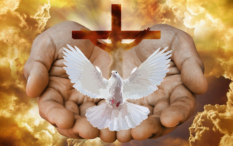Hands and Dove