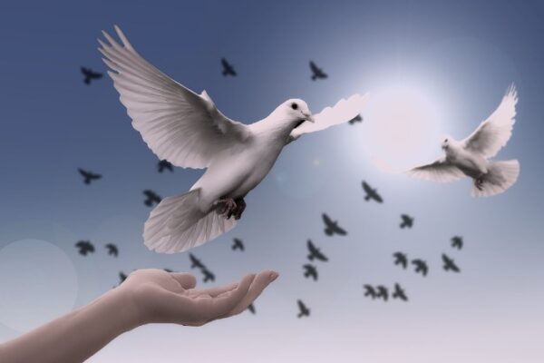 Holy Spirit Presence